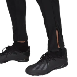 ADIDAS Argentina Training 2020 Pants -Sports Gear Shop adidas argentina training 2020 pants 8