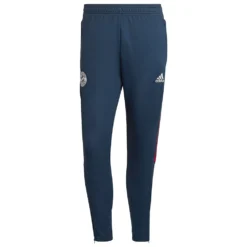 ADIDAS Bayern Munich Training 21/22 Pants