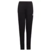ADIDAS Entrada 22 Training Pants