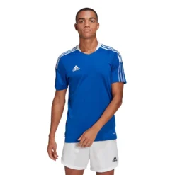 ADIDAS Tiro 21 Training Short Sleeve T-Shirt