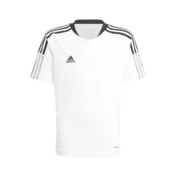 ADIDAS Tiro 21 Training Short Sleeve T-Shirt