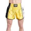 Training Thai Shorts