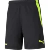 Puma Borussia Dortmund Training Sweat Shorts