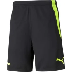 Puma Borussia Dortmund Training Sweat Shorts
