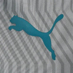 Puma Jersey Manchester City Training 2021/22 -Sports Gear Shop puma jersey manchester city training 2021 22 2