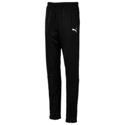Puma Liga Training 2 Long Pants