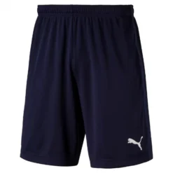 Puma Short Liga Training
