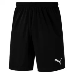 Puma Short Liga Training