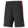 Puma Short Training Manchester City 2021/22