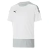Puma Team Goal 23 Training T-Shirt