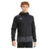 Puma Teamgoal 23 Training Jacket