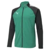 Puma TeamLiga Training Jacket