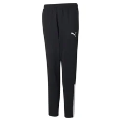 Puma TeamLiga Training Pants