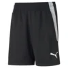 Puma TeamLiga Training Shorts