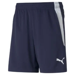 Puma TeamLiga Training Shorts
