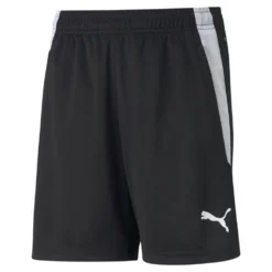 Puma TeamLiga Training Shorts