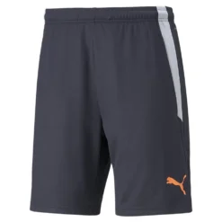 Puma TeamLiga Training Shorts