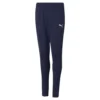 Puma TeamRise Poly Training Pants