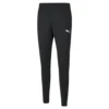 Puma TeamRise Poly Training Pants