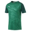 Puma Training Jersey Cup