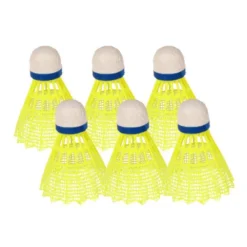 Tube Of 6 Fluorescent Training Wheels